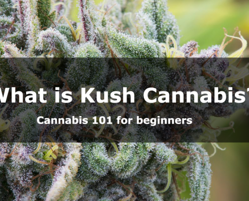 What is Kush cannabis?