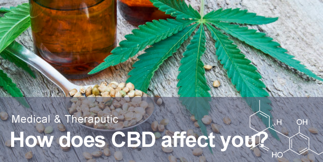 What is CBD and how doe it affect you for medical and theraputic purposes?
